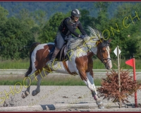 3EQUIPASSION500