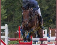 1SAMEDI-PAYERNE515