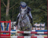 1SAMEDI-PAYERNE526