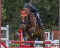 1SAMEDI-PAYERNE572