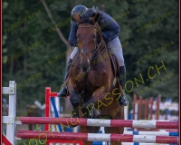 1SAMEDI-PAYERNE604