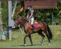 2CSO-PAYERNE035