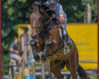 2CSO-PAYERNE036