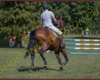 2CSO-PAYERNE041