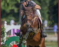 2CSO-PAYERNE051