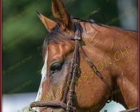 2CSO-PAYERNE099