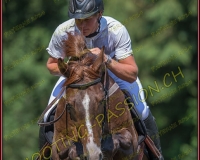 2CSO-PAYERNE101