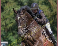 2CSO-PAYERNE120