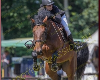 2CSO-PAYERNE190