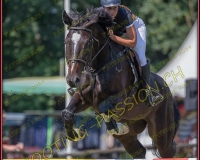 2CSO-PAYERNE201