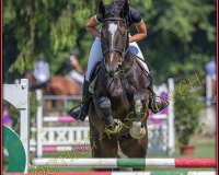 2CSO-PAYERNE206