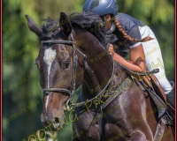 2CSO-PAYERNE210