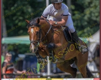 2CSO-PAYERNE211