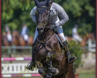 2CSO-PAYERNE238