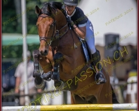 2CSO-PAYERNE265