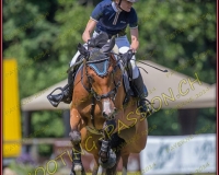 2CSO-PAYERNE294
