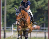 2CSO-PAYERNE304