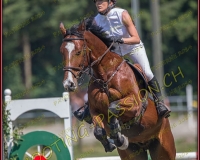 2CSO-PAYERNE333