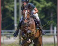 2CSO-PAYERNE343