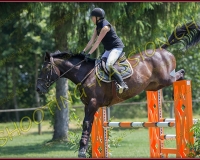 2CSO-PAYERNE370