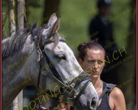2CSO-PAYERNE386