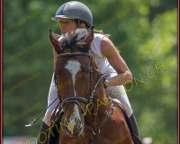 2CSO-PAYERNE396