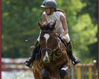 2CSO-PAYERNE398