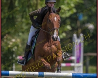 2CSO-PAYERNE411