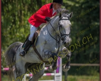 2CSO-PAYERNE433