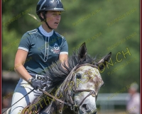2CSO-PAYERNE490