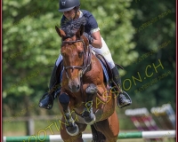 2CSO-PAYERNE564
