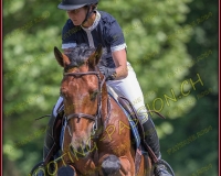 2CSO-PAYERNE565