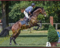 2CSO-PAYERNE613