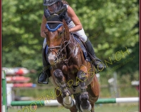 2CSO-PAYERNE637