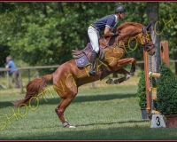 2CSO-PAYERNE646
