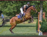 2CSO-PAYERNE650