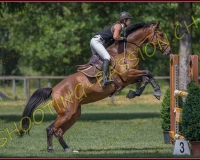 2CSO-PAYERNE663