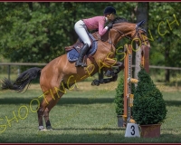 2CSO-PAYERNE677