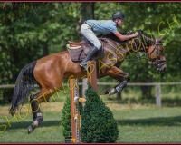 2CSO-PAYERNE687