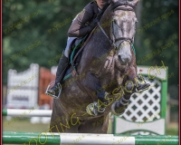 2CSO-PAYERNE698