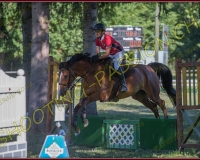 1SAMEDI-PAYERNE035