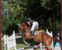 1SAMEDI-PAYERNE083