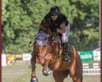 1SAMEDI-PAYERNE086