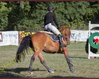 1SAMEDI-PAYERNE110