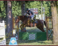 1SAMEDI-PAYERNE175