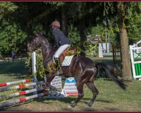 1SAMEDI-PAYERNE279