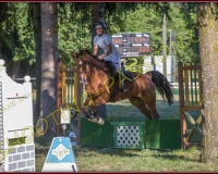 1SAMEDI-PAYERNE321