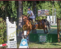 1SAMEDI-PAYERNE322