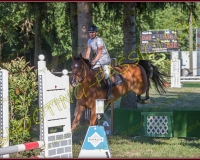 1SAMEDI-PAYERNE323
