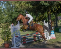 1SAMEDI-PAYERNE332